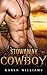 Stowaway Cowboy