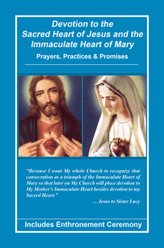 Devotion to the Sacred Heart of Jesus and the Immaculate Heart of Mary (Paperback)