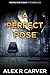 A Perfect Pose (Inspector Stone Mysteries, #3)