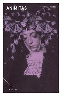 Animitas (Paperback)