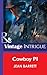 Cowboy Pi (Mills & Boon Intrigue)