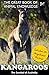 Kangaroo: The Symbol of Aus...