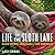 Life in the Sloth Lane: Slow Down and Smell the Hibiscus