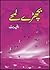 Bichray Lamhay / بچھڑے لمحے