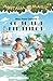 Comoara piraţilor by Mary Pope Osborne Comoara piraţilor by Mary Pope Osborne
