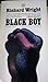 Black Boy by Richard Wright Black Boy by Richard Wright