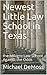 Newest Little Law School in Texas by Michael DeMoss