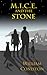 M.I.C.E. and the Stone