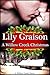 A Willow Creek Christmas by Lily Graison