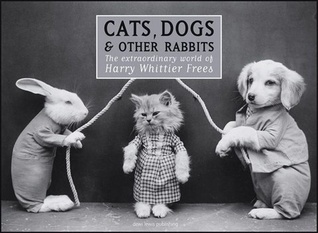 Cats, Dogs & Other Rabbits: The Extraordinary World of Harry Whittier Frees (Hardcover)