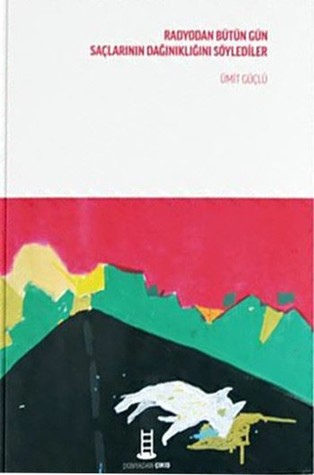 Radyodan Bütün Gün Saçlarının Dağınıklığını Söylediler (Paperback)