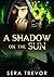 A Shadow on the Sun