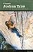 Classic Joshua Tree Routes