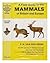 A field guide to the mammals of Britain and Europe (Collins pocket and field guides)