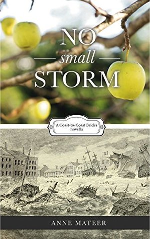 No Small Storm (Coast-to-Coast Brides #1)