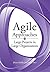 Agile Approaches on Large Projects in Large Organizations