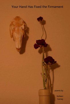 Your Hand Has Fixed the Firmament (Paperback)