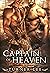 Captain of Heaven