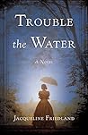Book cover for Trouble the Water