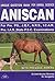 ANI SCAN by Amit Kumar Sharma