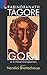 Gora: A Critical Companion
