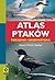 Atlas ptaków. Poradnik obse...