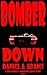Bomber Down (The TroyBarclay/Amber Neilson Series Book 17)