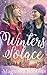 Winters Solace: a novella