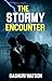 The Stormy Encounter (Birac...