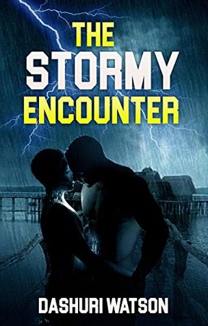 The Stormy Encounter (Biracial Romance Novel 2017)