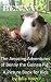 The Amazing Adventures of Benny the Guinea Pig by Julia S. Horn