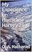 My Experience on Hurricane Harvey 2017 by O.A. Nathaniel