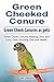 Green Cheeked Conure parrot...