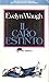Il caro estinto