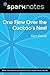 One Flew Over the Cuckoo's Nest (SparkNotes Literature Guide)