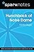 Hunchback of Notre Dame (SparkNotes Literature Guide)