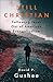 Still Christian: Following Jesus Out of American Evangelicalism
