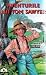 Aventurile lui Tom Sawyer