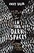 In the Dark Spaces