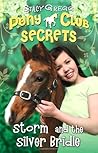 Storm and the Silver Bridle by Stacy Gregg