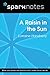 A Raisin in the Sun by SparkNotes