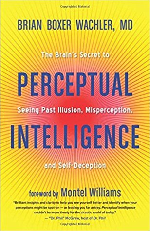 Perceptual Intelligence: The Brain's Secret to Seeing Past Illusion, Misperception, and Self-Deception (Paperback)