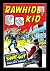 Rawhide Kid (1960-1979) #20