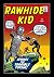 Rawhide Kid (1960-1979) #22