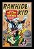 Rawhide Kid (1960-1979) #31