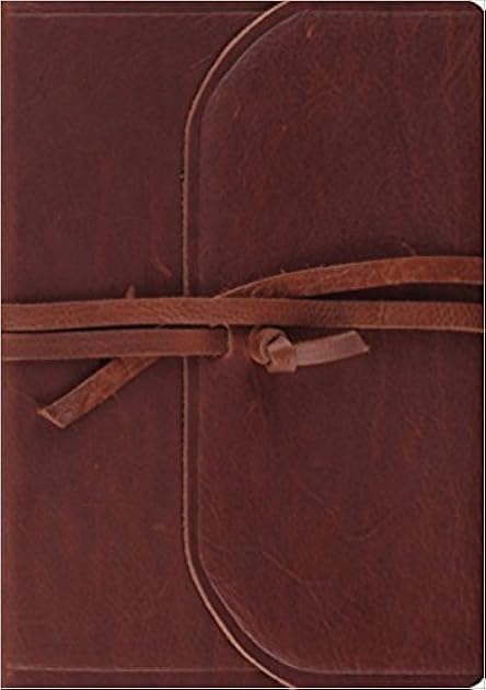 ESV Journaling Bible, Interleaved Edition (Brown, Flap with Strap)