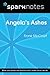 Angela's Ashes (SparkNotes Literature Guide)