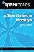 A Tree Grows in Brooklyn (SparkNotes Literature Guide)