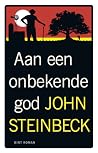 Aan een onbekende...
