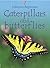Caterpillars and Butterflies (Usborne Beginners)
